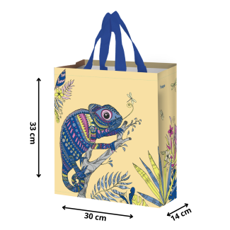 Torba KAMELEON 30x14x33cm – kolorowa torba na zakupy 14l ekologiczna