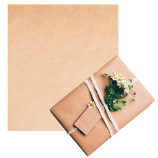 papier prezentowy EKO x1...