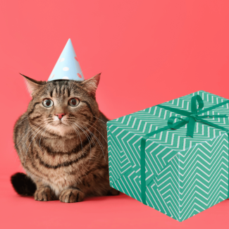 papier prezentowy ZYG-ZAK zielony x1 szt / papier ozdobny do pakowania prezentów